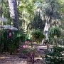 <p align=left>Sanctuaire d'oiseaux au camping de Jekyll Island.